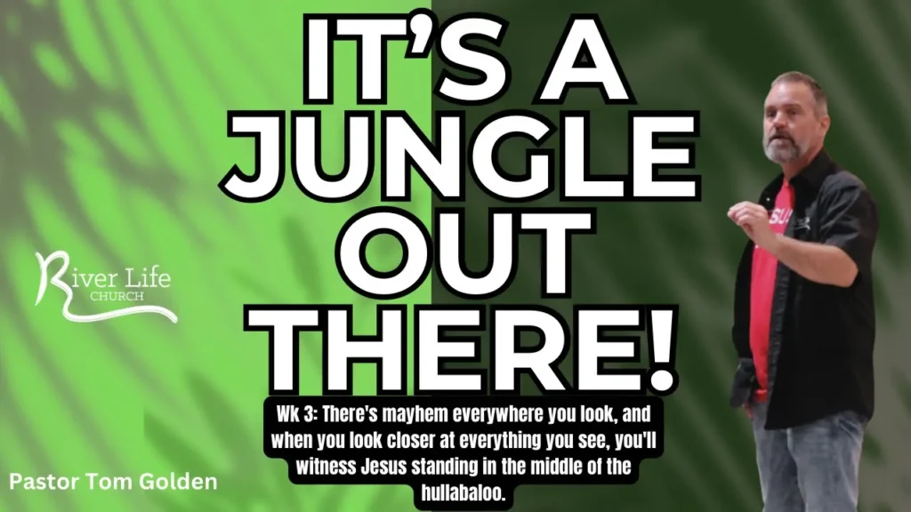 It's a jungle out there week 3
