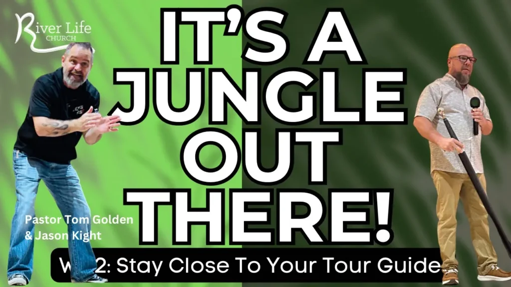 It's a jungle out there week 2