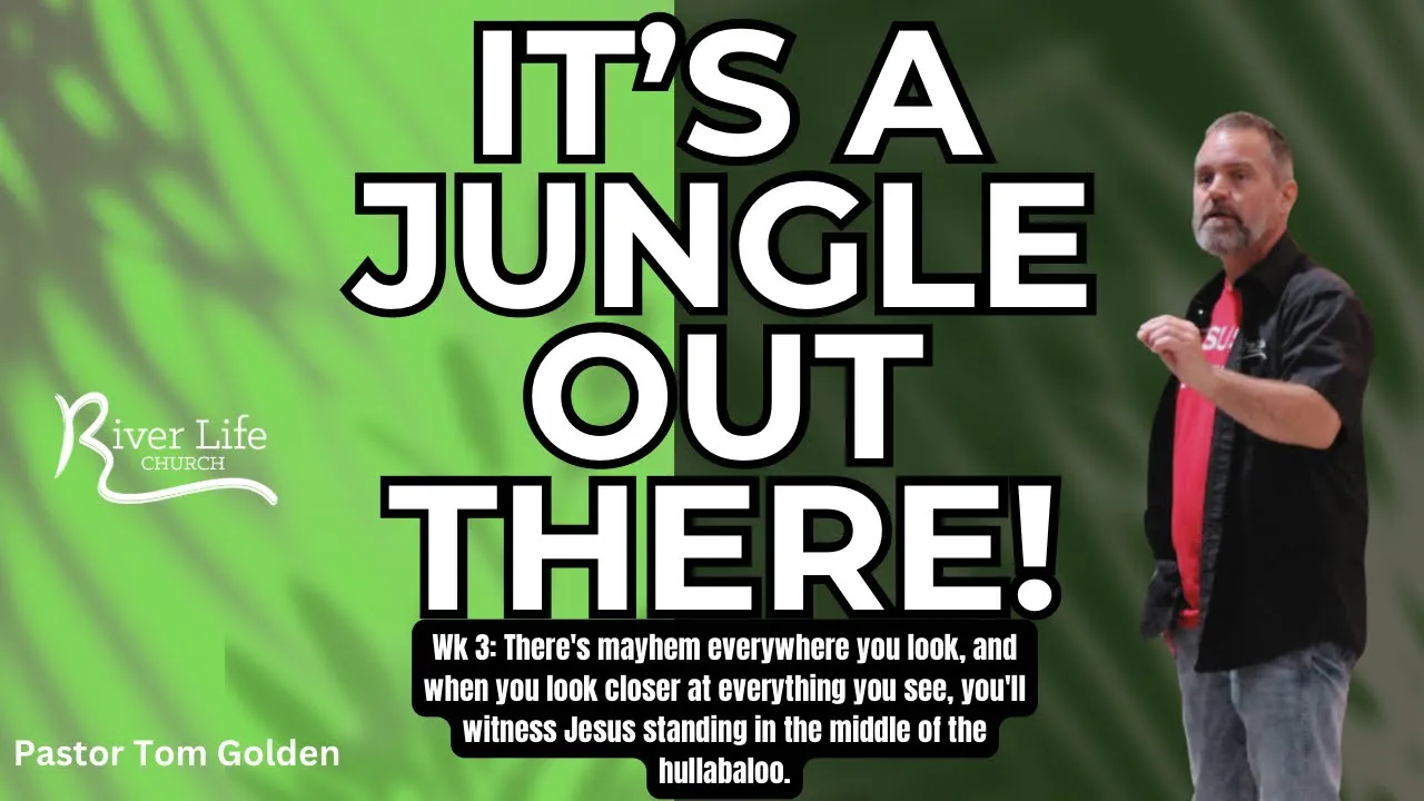 It's a jungle out there week 3